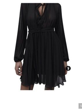 Zara Black Long-Sleeve Sheer Chiffon Mini Dress